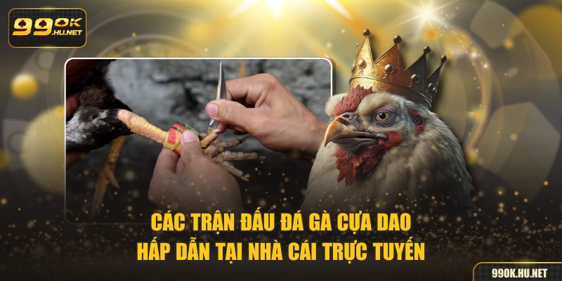 Các trận đấu đá gà cựa dao hấp dẫn tại nhà cái trực tuyến