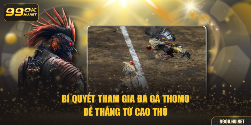 Bí quyết tham gia đá gà Thomo dễ thắng từ cao thủ