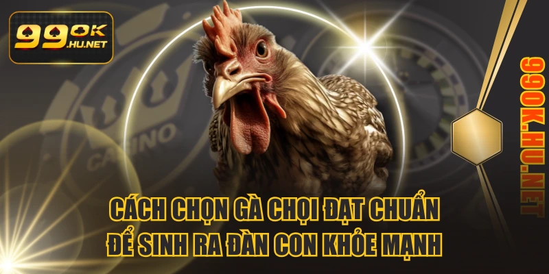 Cách Chọn Gà Chọi Đạt Chuẩn Để Sinh Ra Đàn Con Khỏe Mạnh