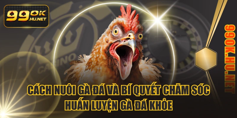 Cách Nuôi Gà Đá Và Bí Quyết Chăm Sóc Huấn Luyện Gà Đá Khỏe