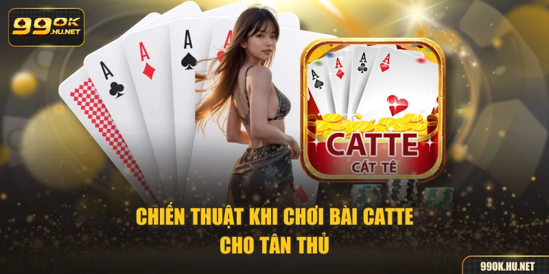 Chiến thuật khi chơi bài catte cho tân thủ