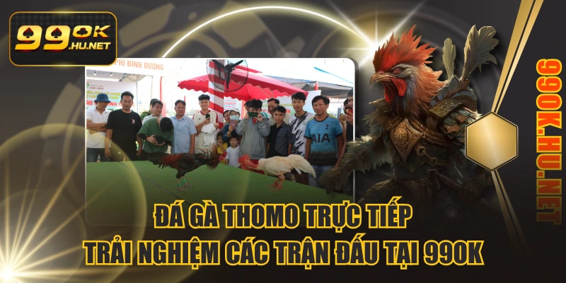 Đá Gà Thomo Trực Tiếp – Trải Nghiệm Các Trận Đấu Tại 99OK