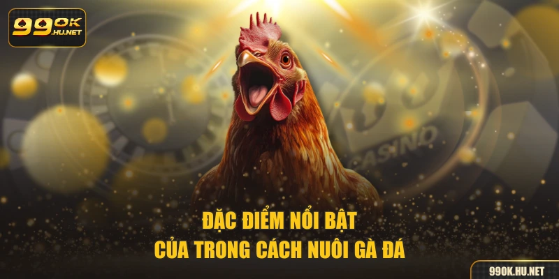 Đặc điểm nổi bật của trong cách nuôi gà đá