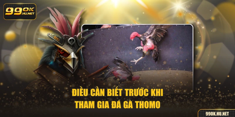 Điều cần biết trước khi tham gia đá gà Thomo