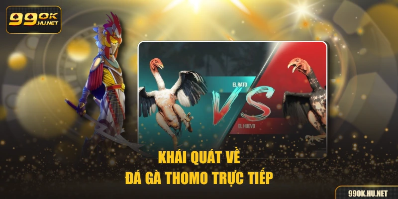 Khái quát về đá gà Thomo trực tiếp