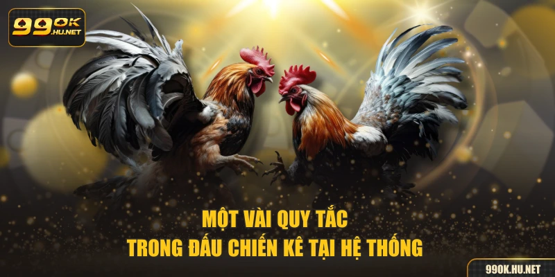 Một vài quy tắc trong đấu chiến kê tại hệ thống