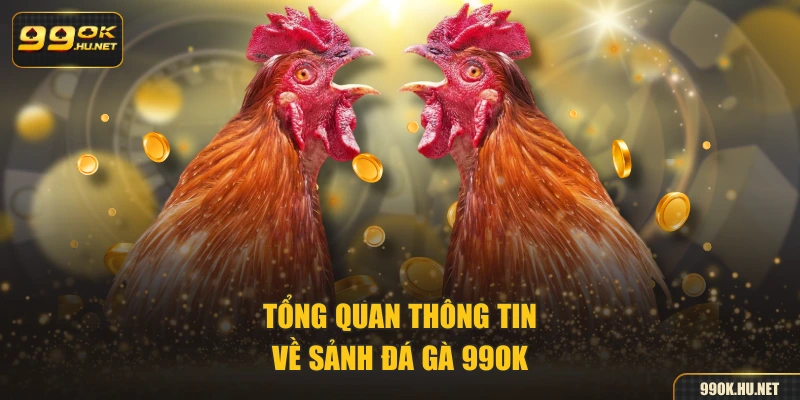 Tổng quan thông tin về sảnh đá gà 99OK